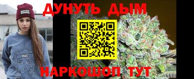 индика Славгород