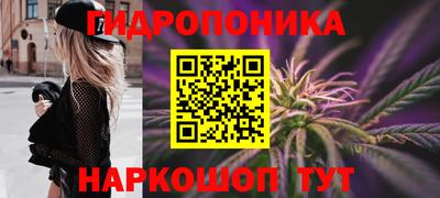 индика Славгород