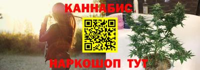 индика Славгород