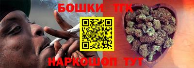 индика Славгород