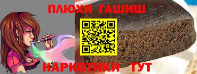 индика Славгород