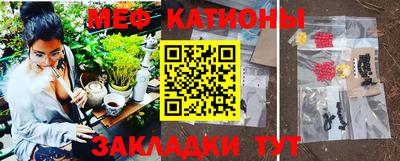 индика Славгород