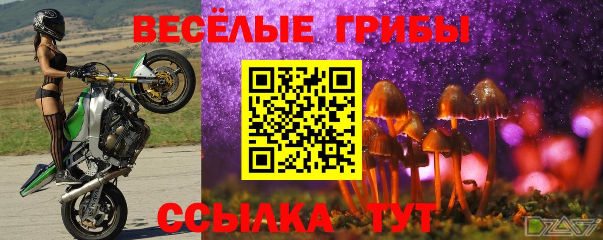 Печора  Псилоцибиновые грибы Cubensis  Вход с VPN  Галлюциногенные грибы прущие грибы 